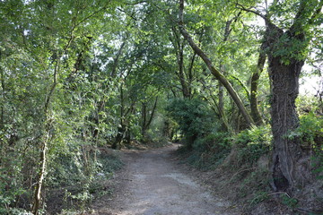 Fototapeta premium Saint-Herblain - Parc de la Chézine