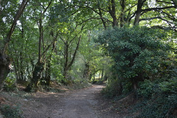 Saint-Herblain - Parc de la Chézine