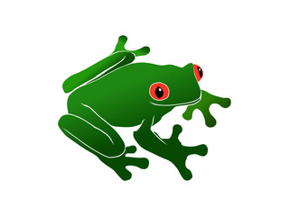 green tree frog