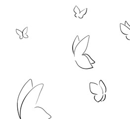 butterfly on a white background illustration 