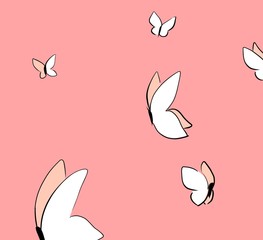 Butterfly illustration on pink background 