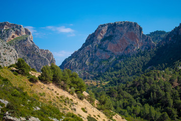 Fototapeta na wymiar Aaisajes de Andalucia 