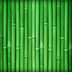 Bamboo texture background with natural patterns; bamboo fence texture background