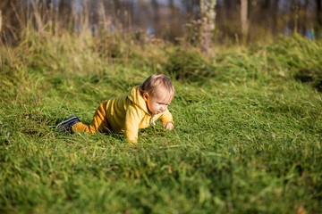 .Toddler todler in a yellow jacket crawls on the grass in an autumn park