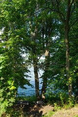 Zaciszne miejsce nad jeziorem w cieniu drzew - obrazy, fototapety, plakaty
