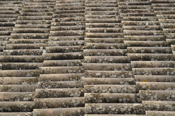 roof with regular tiles and covered with lichens