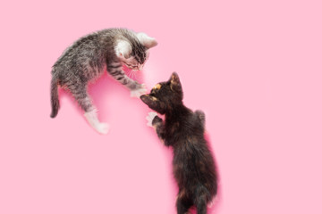 Two kittens climbing up a pink blanket.