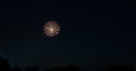 Starlight Firework