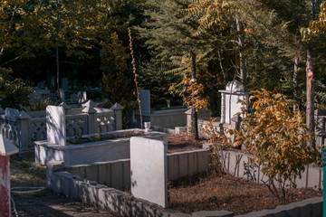 Turkish muslim cemetery among trees