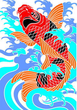  japan koi fish in the blue water