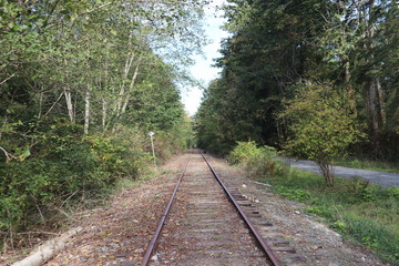 traintrack