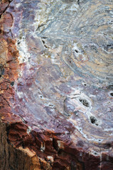 Multicolored stone in a close-up view in petrified wood n the Petrified Forest National Park in Arizona, USA