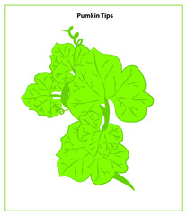 Naklejka premium Pumkin Tips