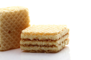 Wafer biscuit 