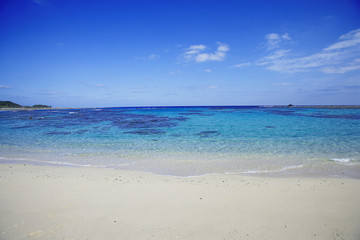 tropical beach in thailand