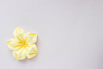 Fototapeta na wymiar Banner with single yellow origami flower. With space for your design