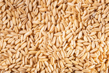oat grains, flakes and flour
