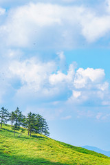 【空イメージ】青空と白い雲