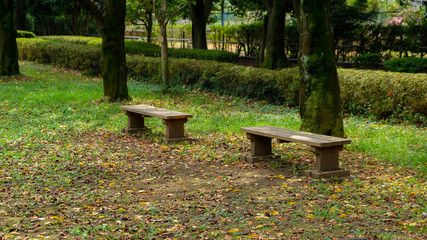秋の城山公園　落ち葉とベンチ