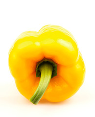 Isolated pepper. One yellow bell pepper isolated on white background
