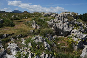Beach with cliffs in Asturias. Huelga Beach. Asturias. Spain
