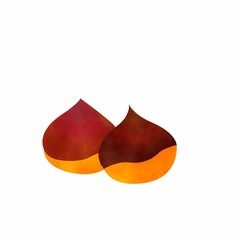 Chestnuts watercolor vector　秋の野菜　栗　水彩