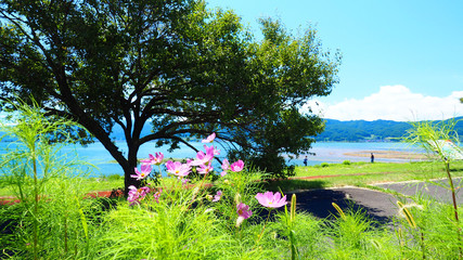 Lake Suwa in Nagano, Japan