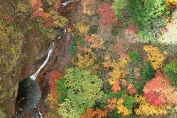 福島県不動沢の紅葉
