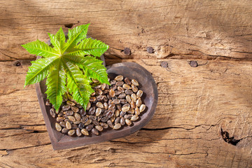 castor oil and seeds, on wooden background