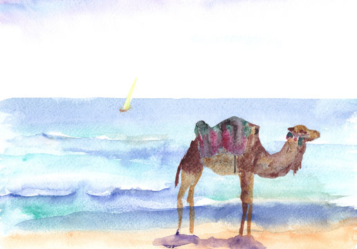 camel by the sea, watercolor drawing, travel sketch