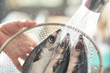 The raw chub mackerel in a wire mesh basket
