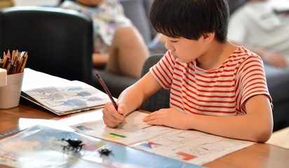 昆虫観察・学習の男の子