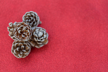 Fototapeta na wymiar Dried pine balls on red gliter