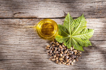 castor oil and seeds, on wooden background