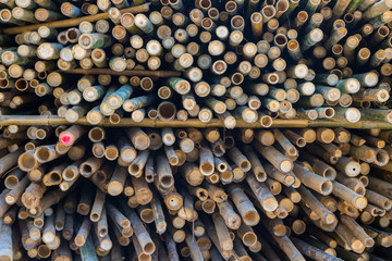 Beautiful nature cutting bamboo sticks texture use for pattern