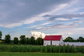 red barn with silo and a field of corn
