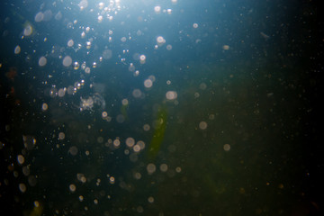 Abstract black defocus bokeh glitter vintage lights with black