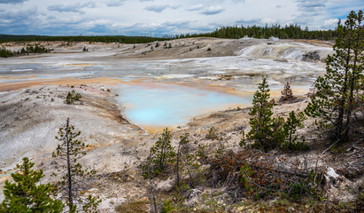 Porcelain Springs in Yellowstone National Park