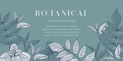 Botanical Leaves Illustration © Bitterheart
