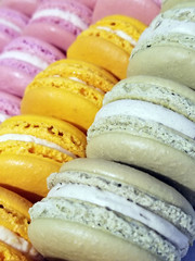 Three rows of French macron cookies