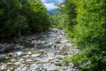 Franconia Branch approaches the East Branch Pemigewasset River from the North, as viewed from the Lincoln Woods Trail Footbridge