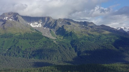 Summer views from the Alaska wilderness 