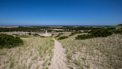 A narrow sand trail leads adventurous beach seekers through the dune grass, and entices them with a...