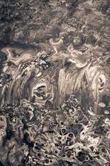 ripples in the water