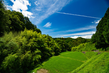 山間部の水田　たんぼ © k
