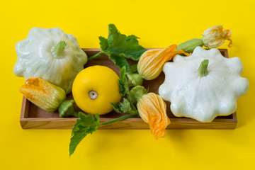 Zucchini and squashes with yellow flowers and green leaves on a wooden tray on a yellow background