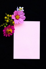 notepaper with pink flowers cosmos ,zinnia elegans ,purple flowers arrnagement flat lay postcard style on background black
