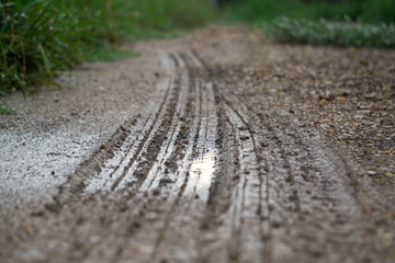 Tire marks on rural road