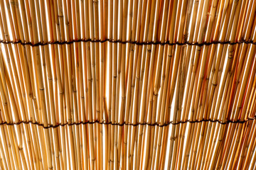 日除けのヨシズ