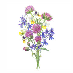 Fototapeta premium Bouquet with wild pansy, field thistle, larkspur and sweet Scabiosa flowers. Watercolor hand drawn painting illustration isolated on white background